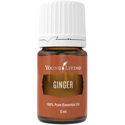 Young Living Ingwer (Ginger) 5ml