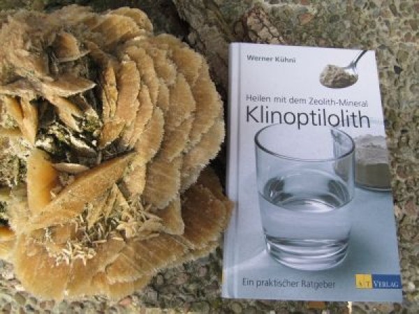 Buch Heilen mit dem Zeolith-Mineral Klinoptilolith