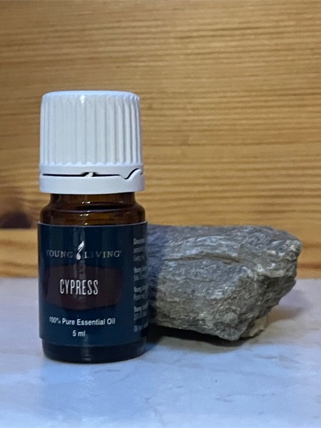 Young Living Zypresse 5ml