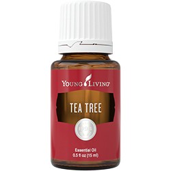 Young Living Teebaumöl 15 ml